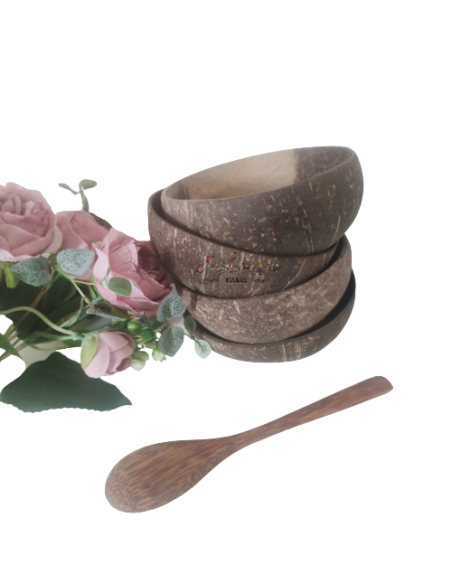 Bol + cuillère en noix de coco naturel