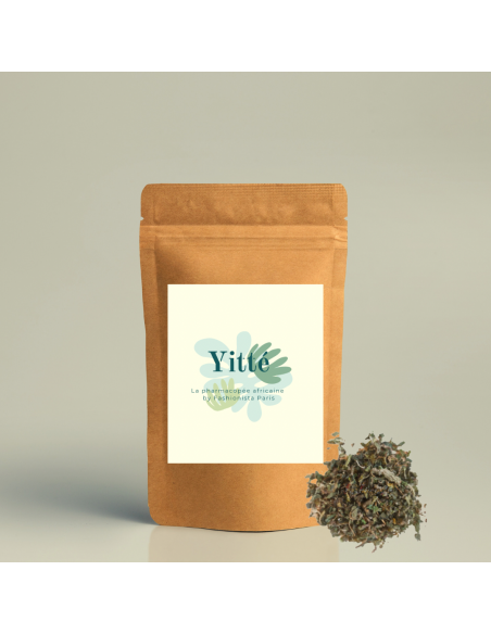 Tisane d ortie piquante