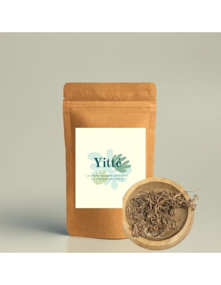 Rose de jericho en vrac