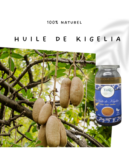 Huile de Kigelia