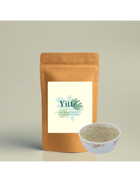 Poudre Bio de shatavari