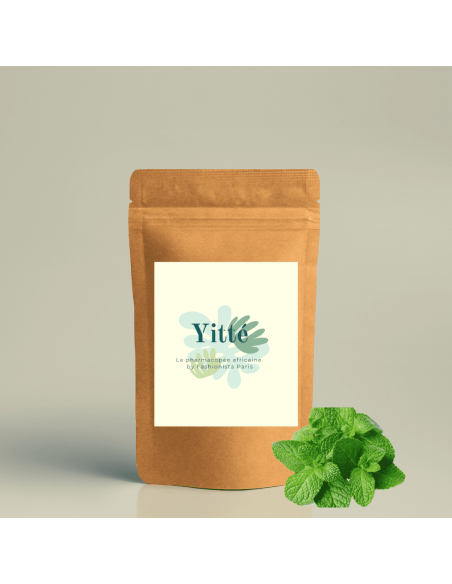 Dentifrice poudre menthe